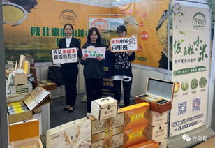 佐嘉粒米脂小米攜手2019一鄉(xiāng)一品國(guó)際商品博覽會(huì)，致力打造中國(guó)小米品牌商品批發(fā)貿(mào)易