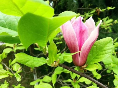 生生不息，意由心生 解讀生意之本與批發貿易之道